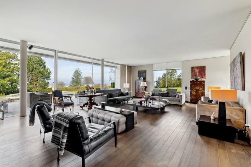 Villa contemporaine avec vue lac (4)