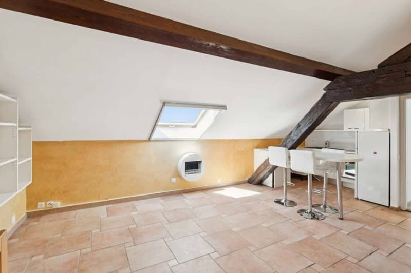 UNIQUE - Appartement de charme en duplex avec jardin privatif (4)