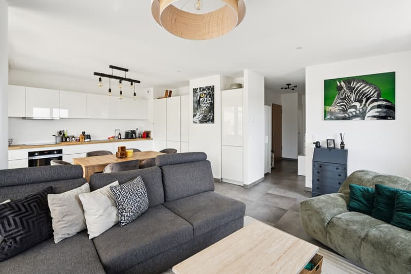 Appartement Attique 3 pièces avec terrasse panoramique (5)