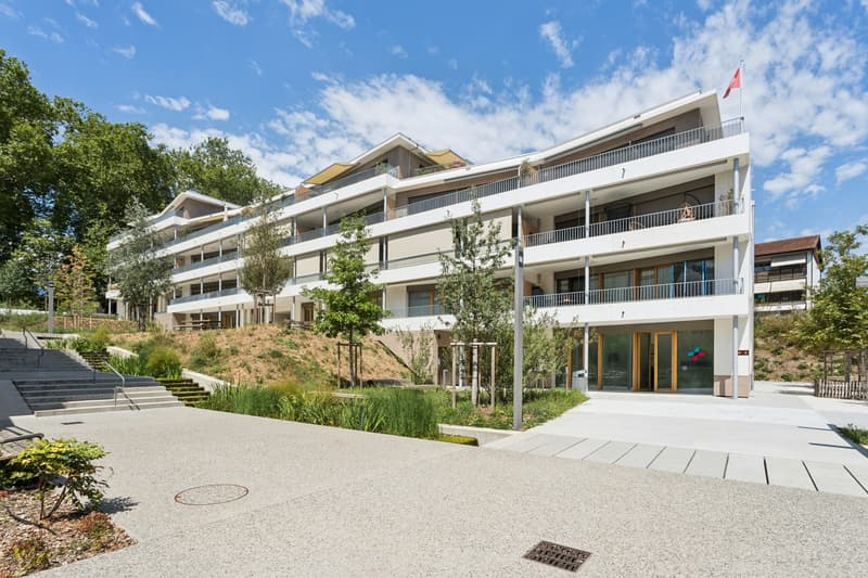 Appartement Attique 3 pièces avec terrasse panoramique (2)