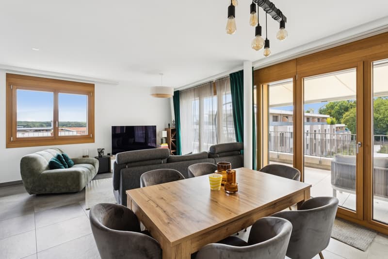 Appartement Attique 3 pièces avec terrasse panoramique (3)