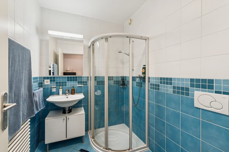 EXCLUSIVITÉ : Appartement 4 pièces en rez-de-jardin (9)