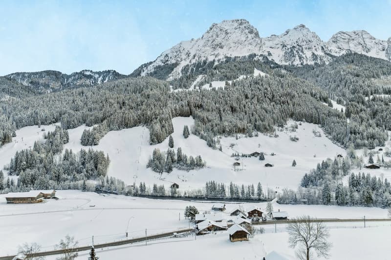 Chalet "La Biche" proche de Gstaad, disponible en résidence secondaire (2)