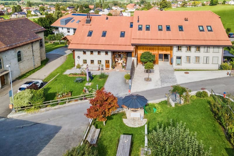 Cachet et authenticité ! Magnifique ferme rénovée de 2 logements (5)