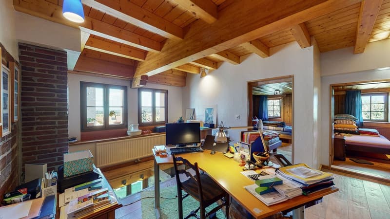 Cachet et authenticité ! Magnifique ferme rénovée de 2 logements (10)
