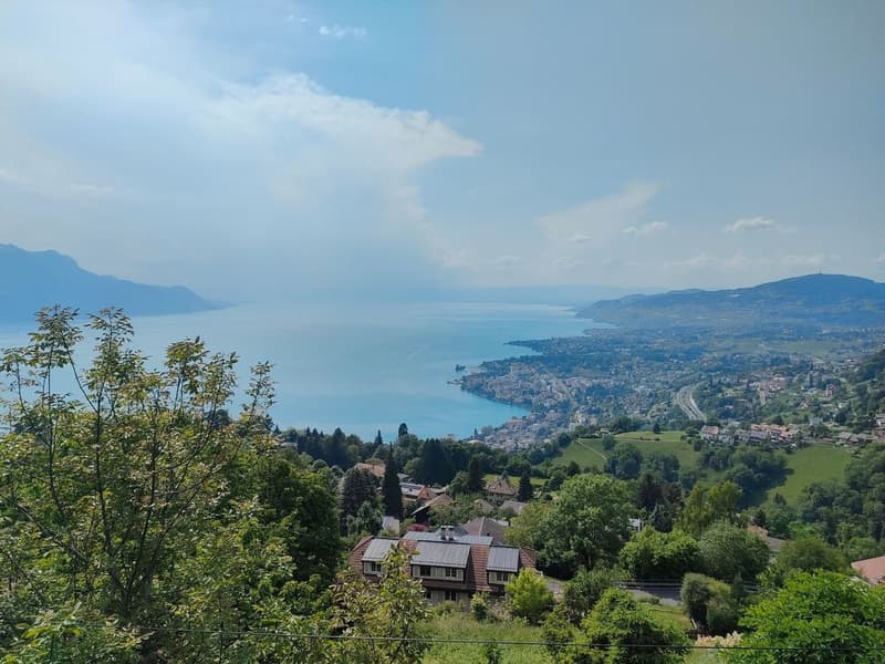 Parcelle avec permis en force et projet pour une villa individuelle (2)