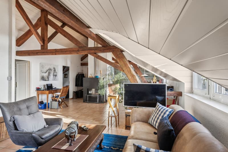 Charme et cachet pour ce joli appartement. A visiter ! (4)