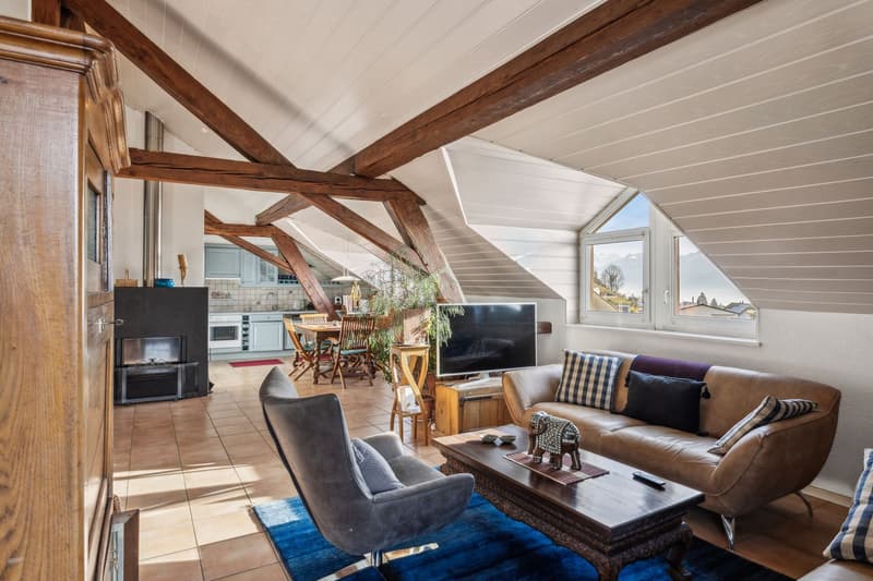 Charme et cachet pour ce joli appartement. A visiter ! (3)