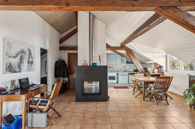 Charme et cachet pour ce joli appartement. A visiter ! (5)