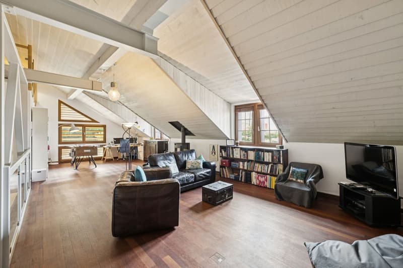 Villa unique dans son style avec espaces, grands volumes et vue lac (10)