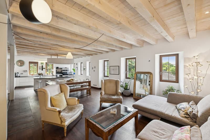 Villa unique dans son style avec espaces, grands volumes et vue lac (6)