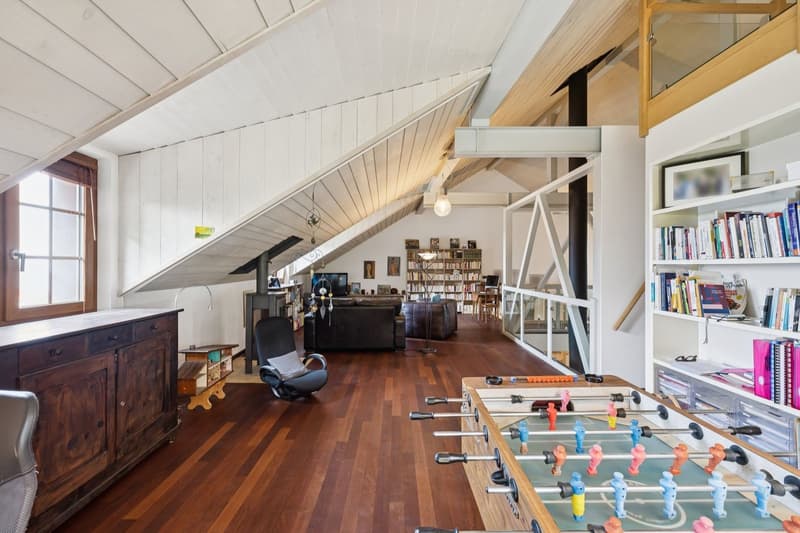 Villa unique dans son style avec espaces, grands volumes et vue lac (12)