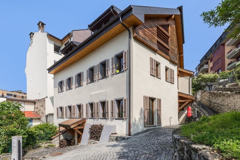 Villa unique dans son style avec espaces, grands volumes et vue lac (1)