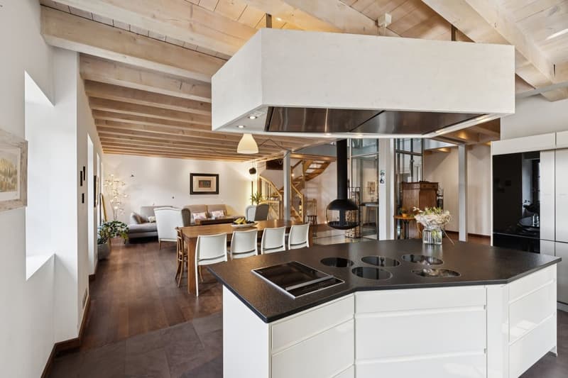 Villa unique dans son style avec espaces, grands volumes et vue lac (5)