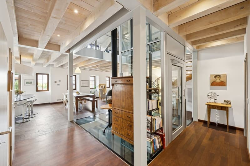 Villa unique dans son style avec espaces, grands volumes et vue lac (3)