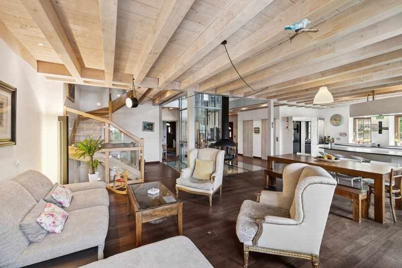 Villa unique dans son style avec espaces, grands volumes et vue lac (7)