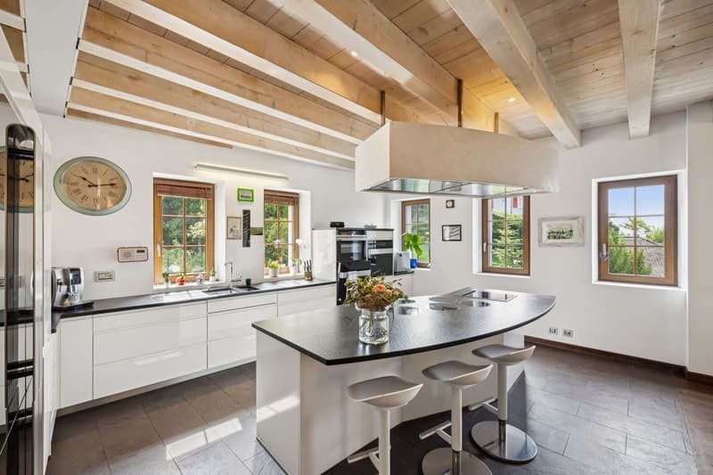 Villa unique dans son style avec espaces, grands volumes et vue lac (4)