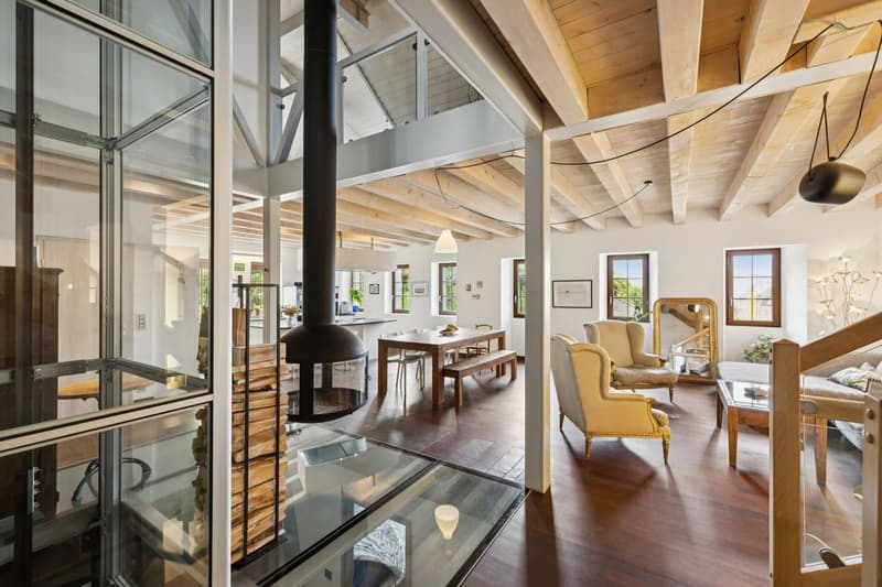 Villa unique dans son style avec espaces, grands volumes et vue lac (2)