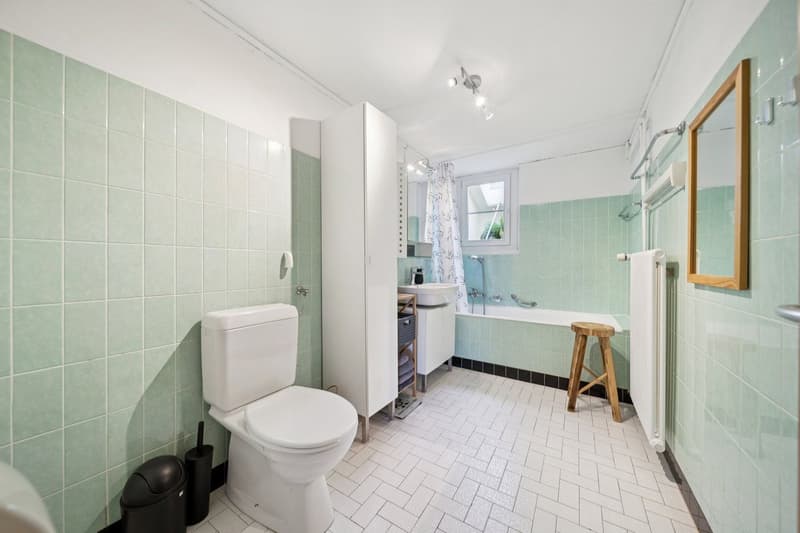 Ferme rénovée de deux appartements (12)