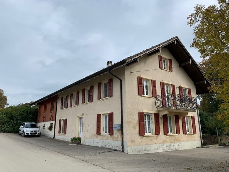 Ferme rénovée de deux appartements (1)
