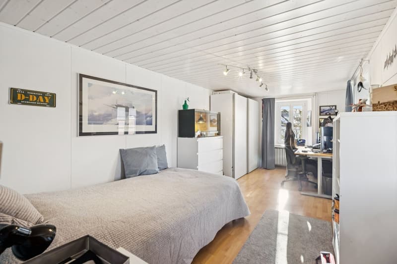 Ferme rénovée de deux appartements (11)