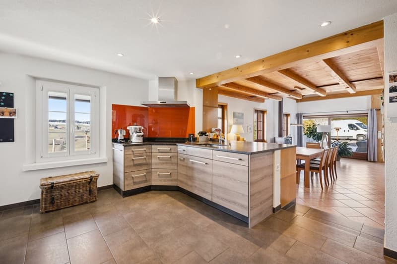 Ferme rénovée de deux appartements (6)