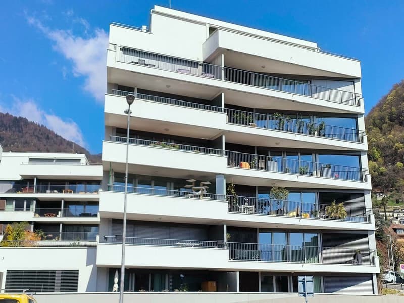 Appartement récent avec grande terrasse et balcon au centre-ville (2)