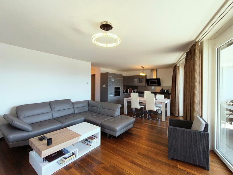 Appartement rcent avec grande terrasse et balcon au centre-ville (7)