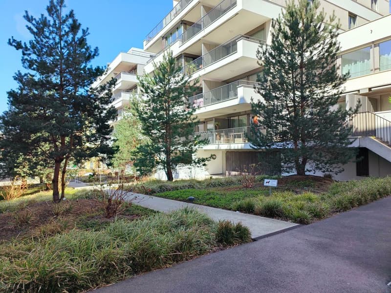 Appartement rcent avec grande terrasse et balcon au centre-ville (3)