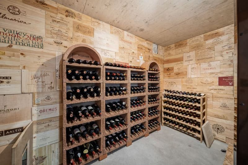 Villa familiale de 10 pièces - Standard équivalent Minergie (12)