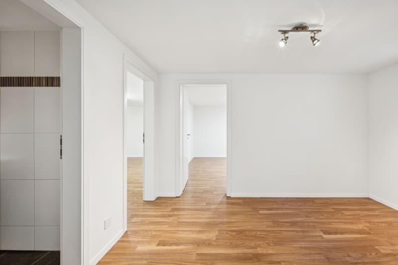 Villa familiale de 10 pièces - Standard équivalent Minergie (10)