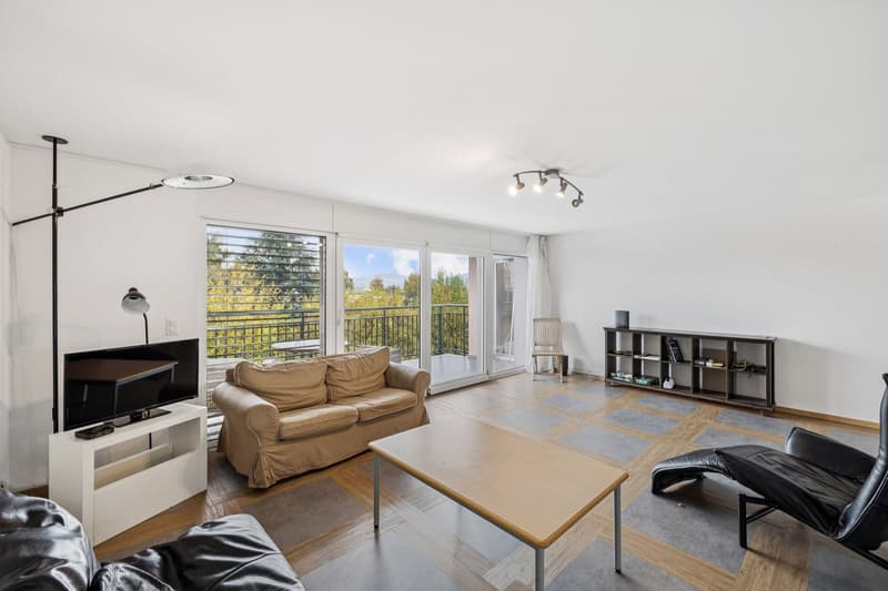 Appartement de 5,5 pièces traversant avec vue sur le lac (3)