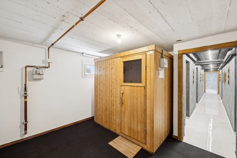 Grande maison individuelle avec grand entresol aménagé (9)