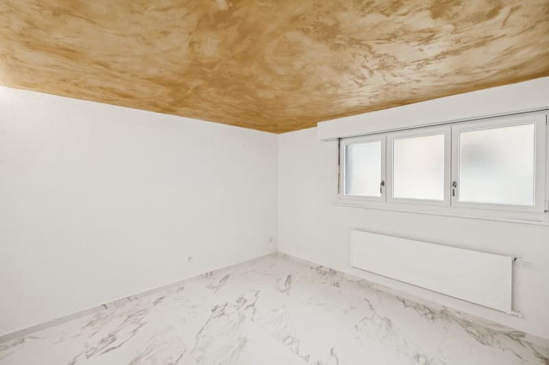 Grande maison individuelle avec grand entresol aménagé (11)