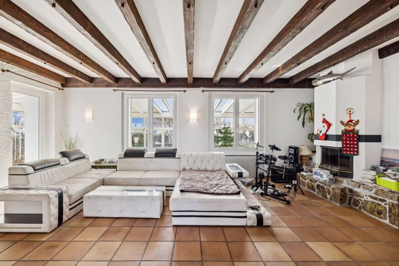 Grande demeure de caractère avec piscine et jacuzzi (3)