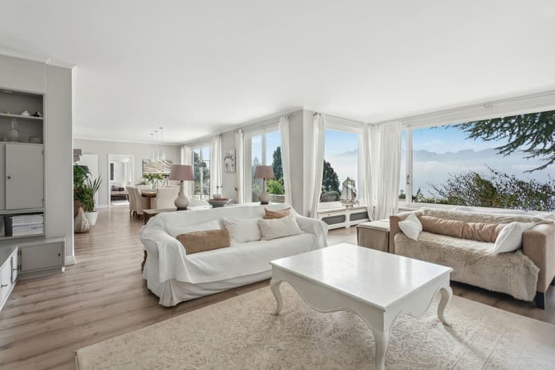 Magnifique villa avec vue panoramique sur le lac et les montagnes (3)