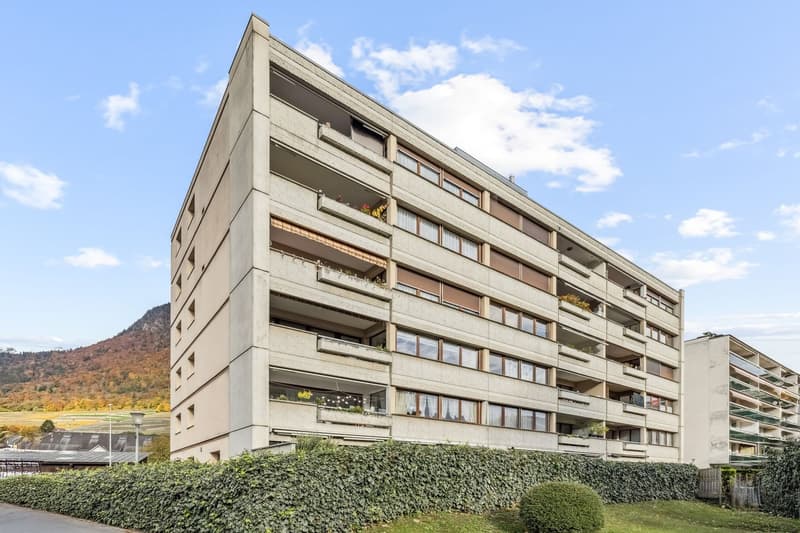Spacieux appartement de 4,5 pièces en rez-de-jardin (11)