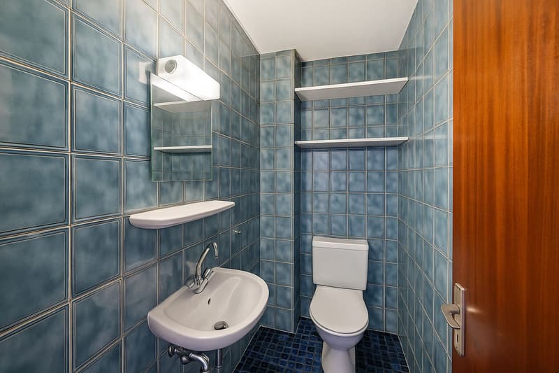 Spacieux appartement de 4,5 pièces en rez-de-jardin (6)