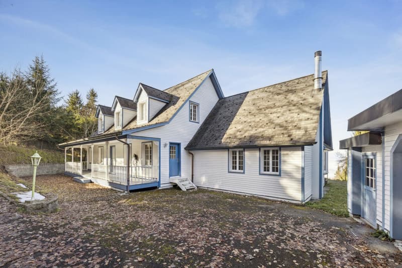 L'Écrin du Léman - Villa d'Exception à Caux (1)