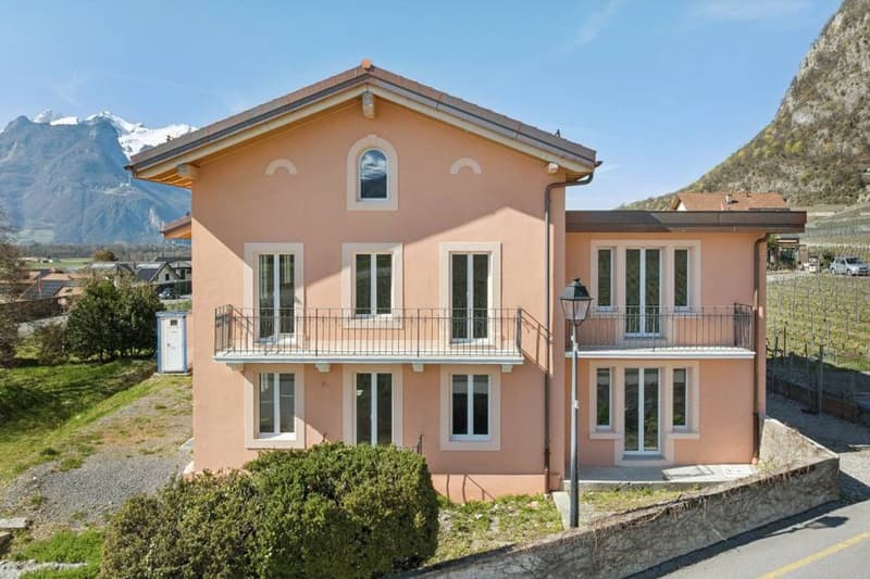Belle villa individuelle partiellement rénovée (2)