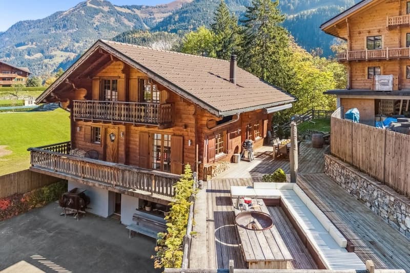 CHALET COCON - CENTRE VILLAGE ET TELEPHERIQUE (1)