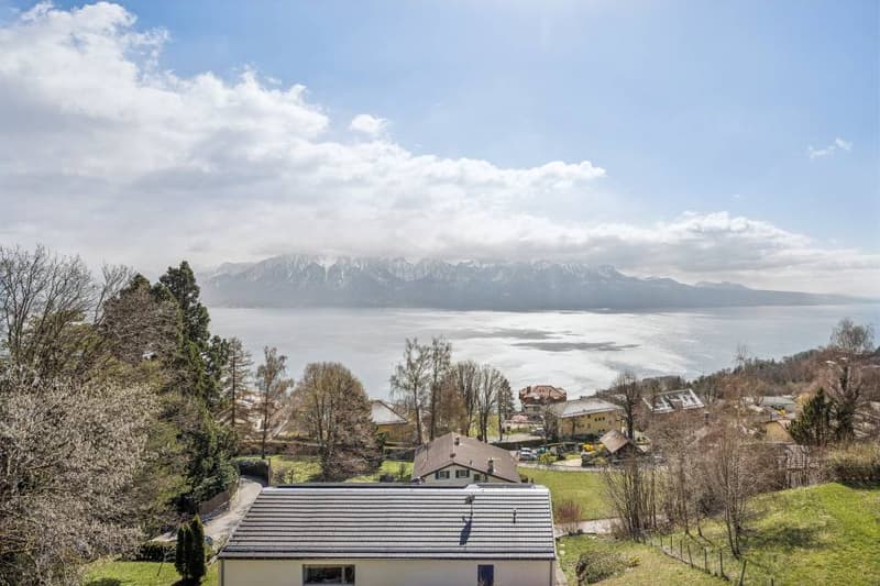 Magnifique vue et calme absolu pour ce 3.5 pièces (6)