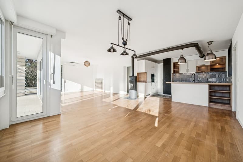 Dans maison individuelle, 4 1/2 pces avec terrasse et jardin privatif (2)