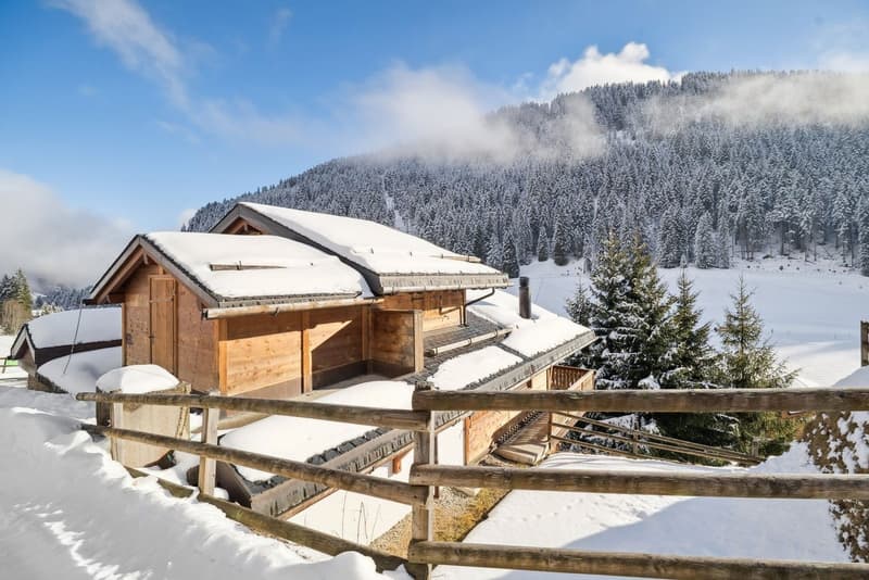 Élégance alpine et panorama à Morgins - Portes du Soleil (3)