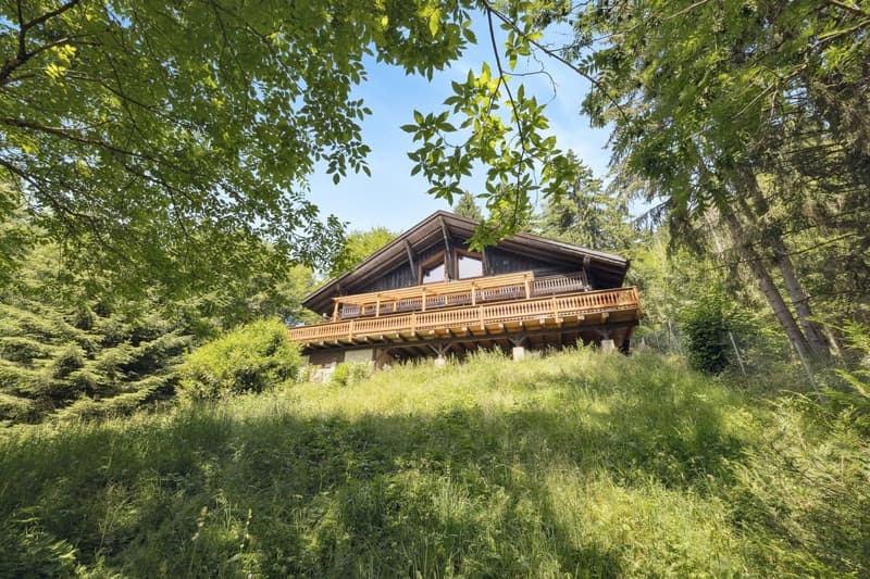 Prestigieux chalet rustique chic au coeur des Portes du Soleil (13)