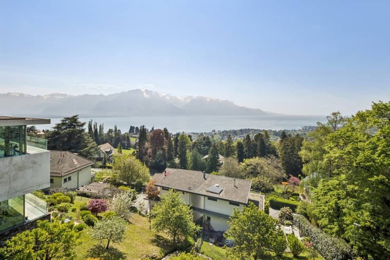 Vue Panoramique (3)