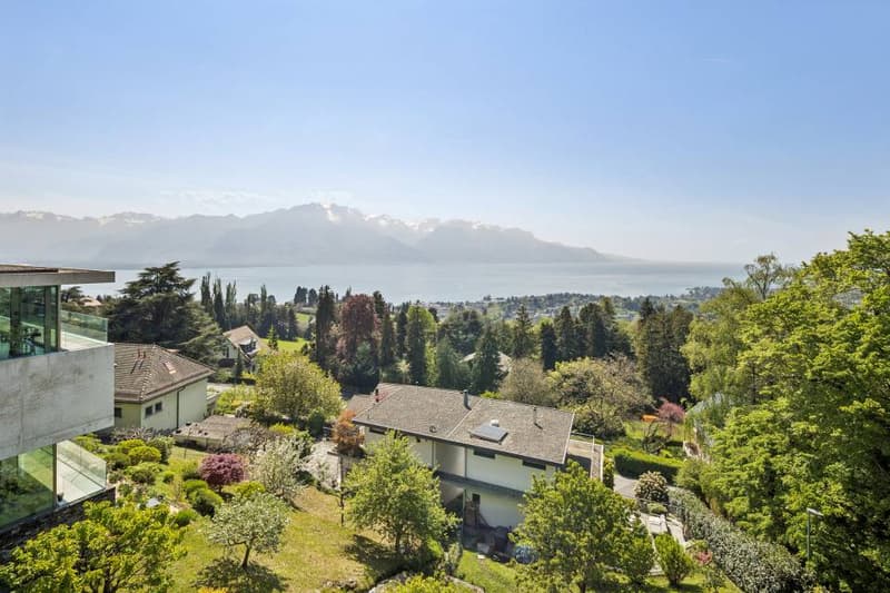 Vue Panoramique (3)