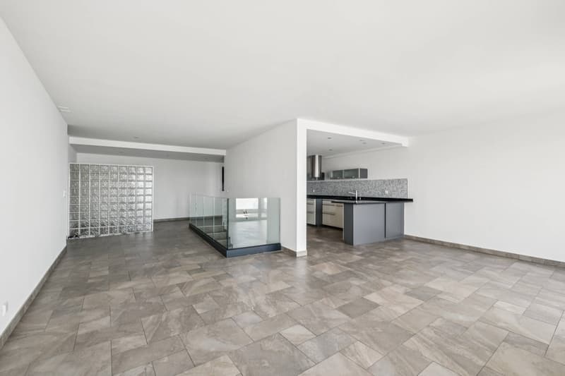 Duplex élégant avec panorama sur le Léman (3)