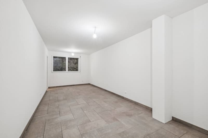 Duplex élégant avec panorama sur le Léman (7)