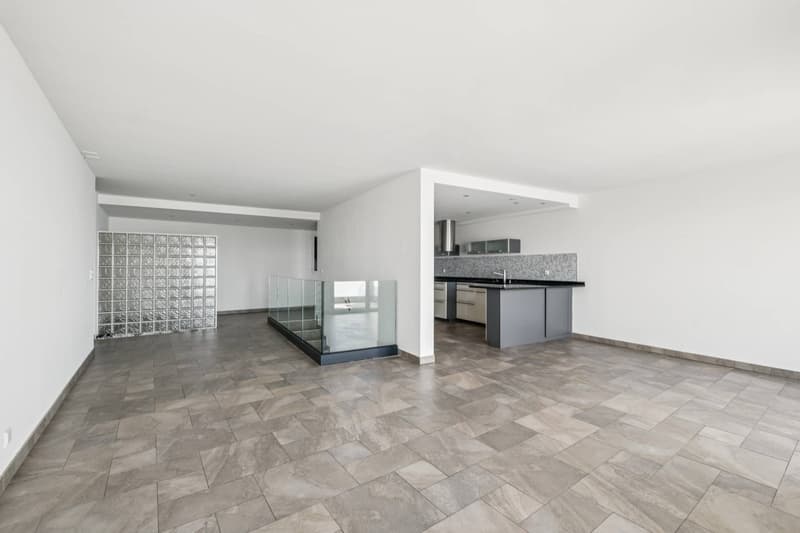 Duplex élégant avec panorama sur le Léman (3)